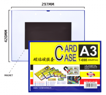 Magnetic Card Cas...